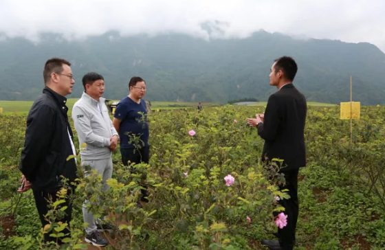 中共攀枝花市東區(qū)委員會領導及攀鋼集團領導一行到恒益集團進行考察交流