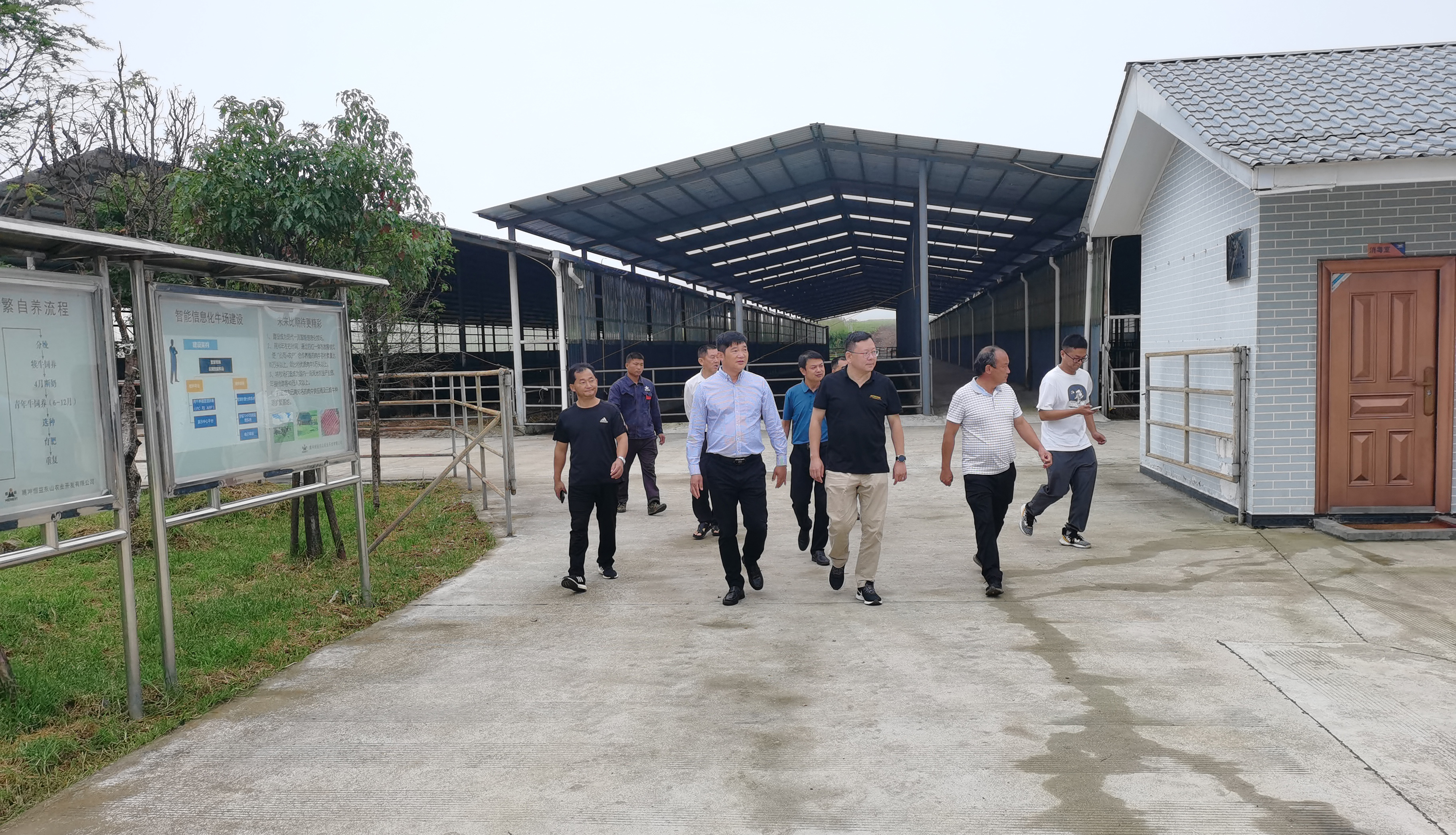 騰沖市政府李青海副市長一行蒞臨恒益集團東山農(nóng)業(yè)公司考察